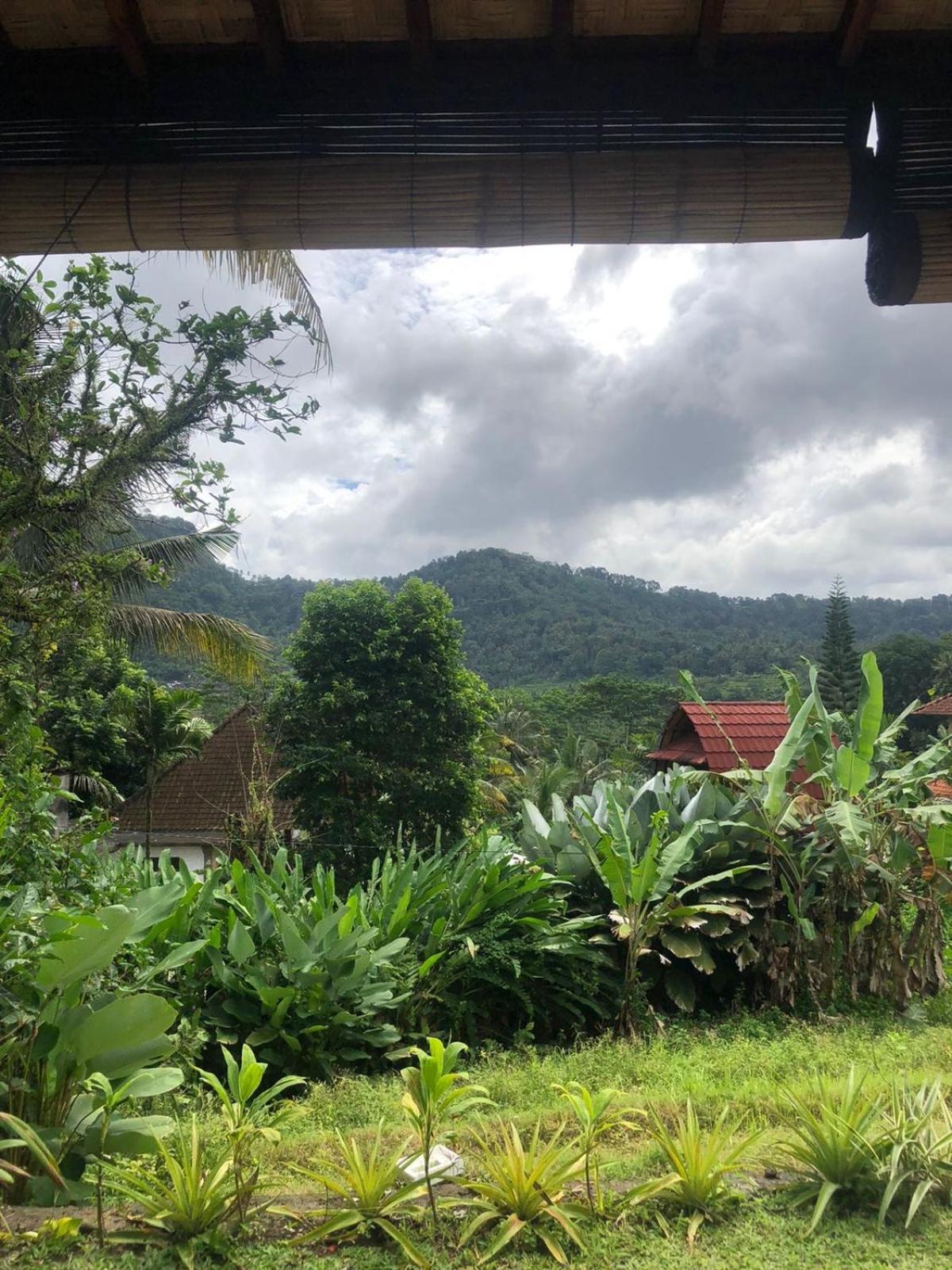 D'Janu Homestay 希德门 外观 照片