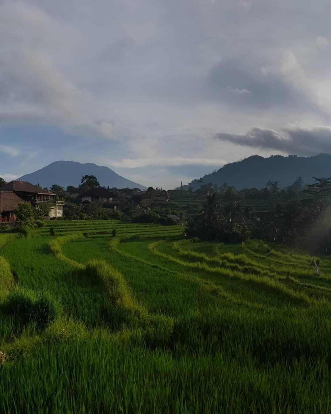 D'Janu Homestay 希德门 外观 照片