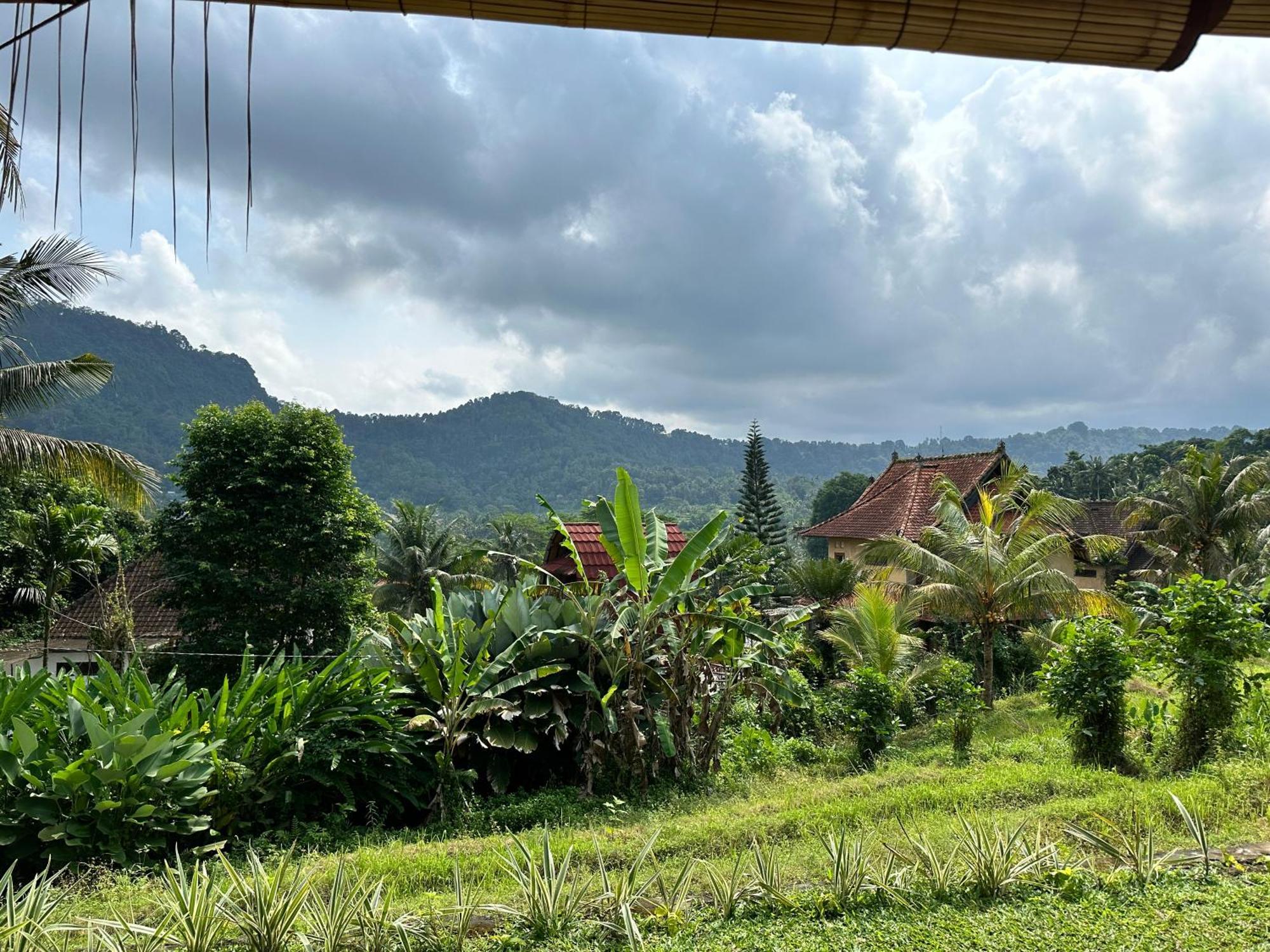 D'Janu Homestay 希德门 外观 照片
