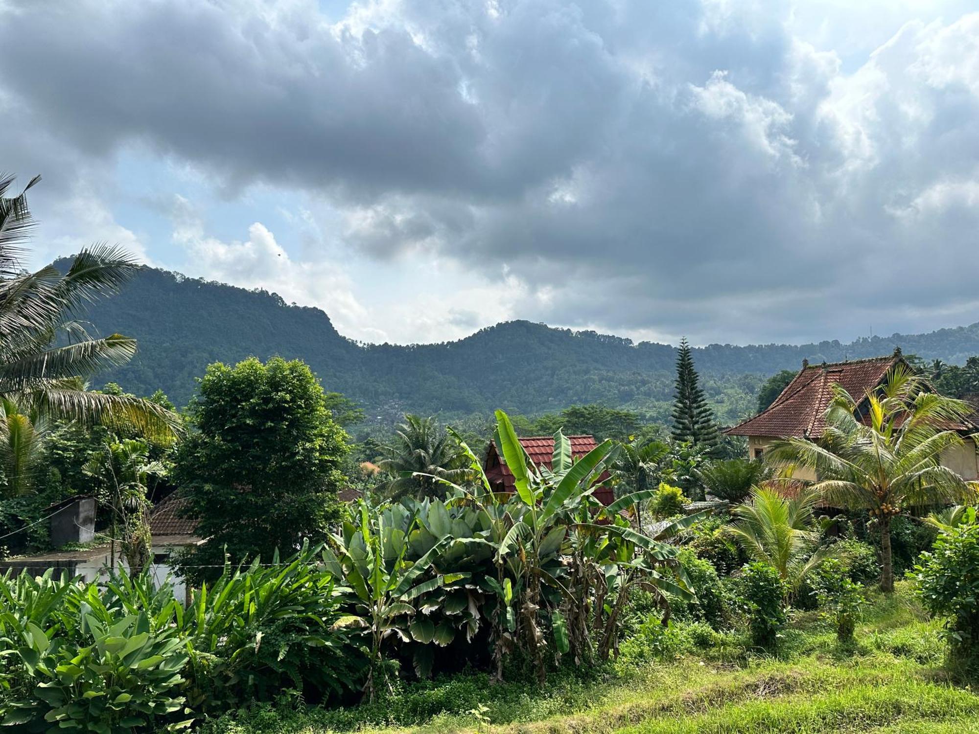 D'Janu Homestay 希德门 外观 照片